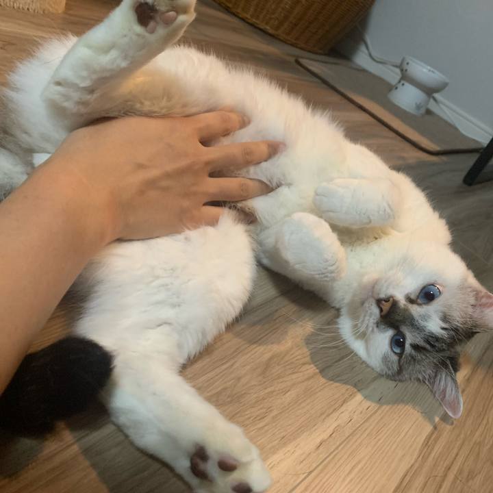 D1033a1f c600 4f40 a714 e7b6110402f4 1659242217330