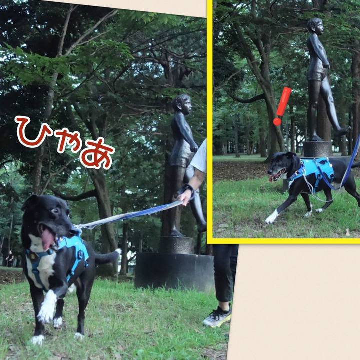 D1033dc3 9492 4400 8709 1f46c73706b9 1692355176511