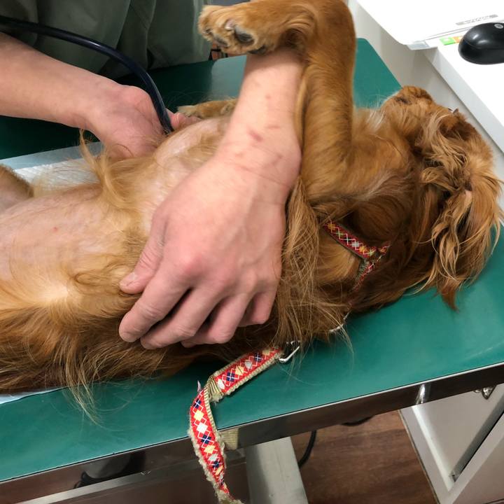 D1035374 b793 4fd6 bb23 f972cbcabc1d 1555121148684