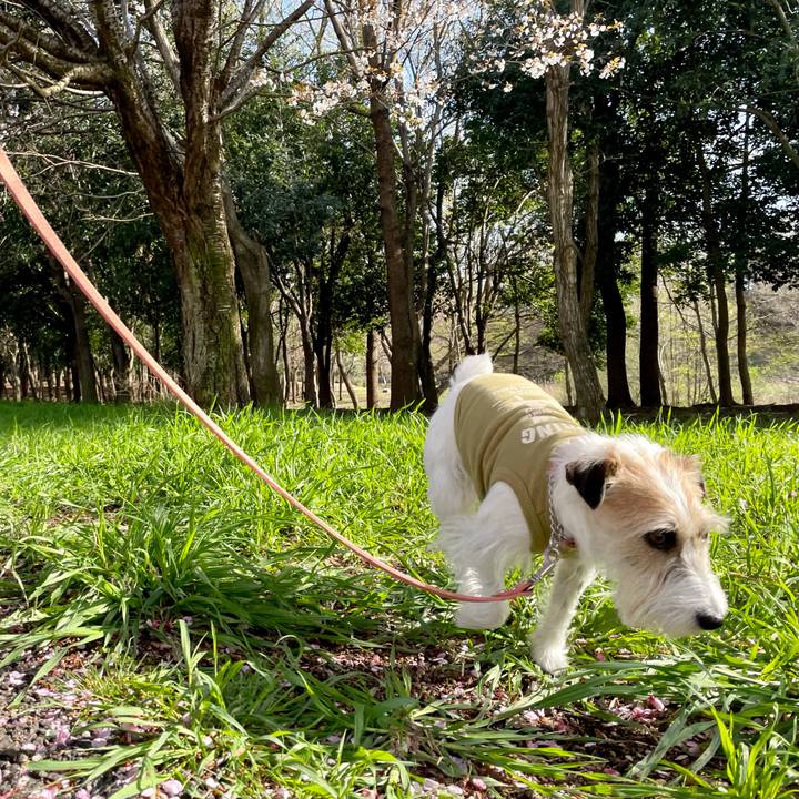 D1039e6a 940a 476d a441 d720ee75e4a8 1649146979759