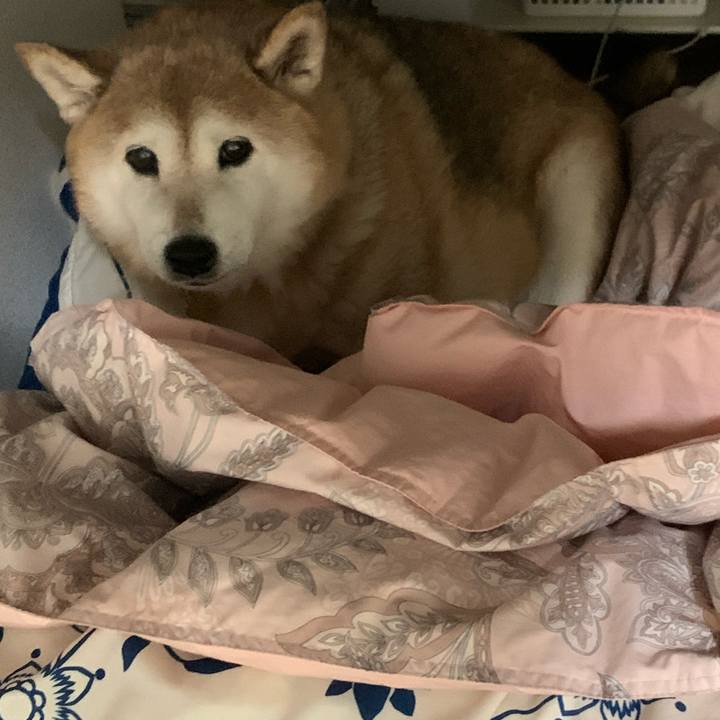 D103f8a8 ce99 448a bdac 72576aba0530 1582425199309