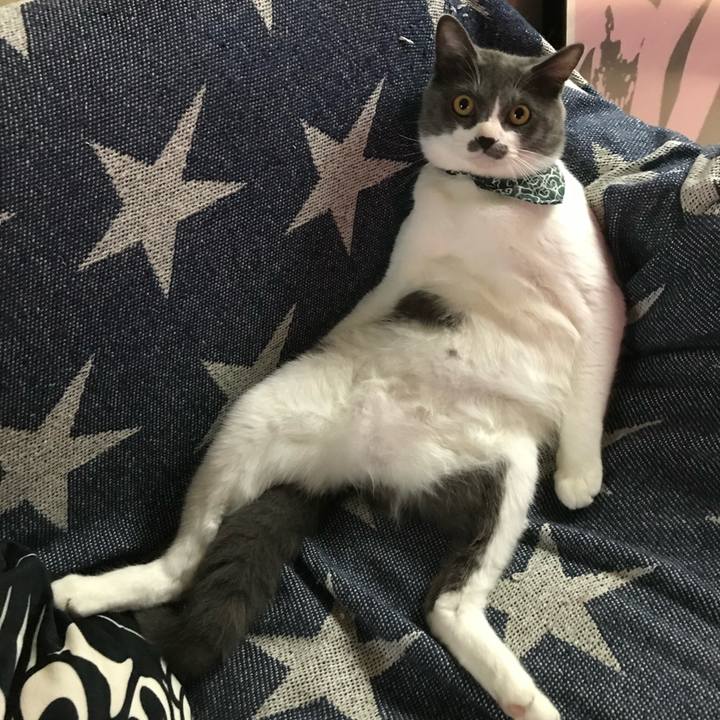 D1042833 b57d 478b b5e2 621c09f07c1c 1744818304609