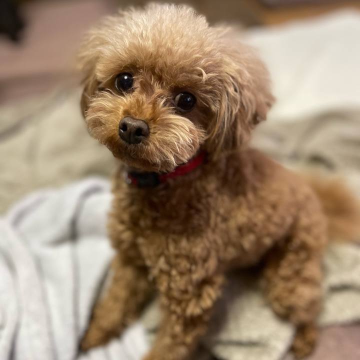 D1043f89 eab8 4aca bedd dae915c59698 1674976707853