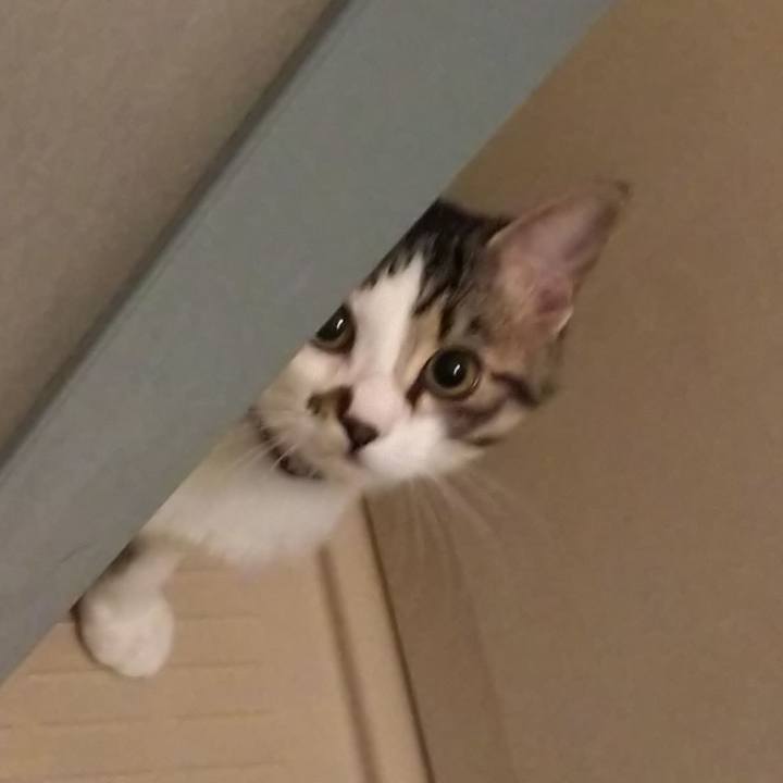 D1046a11 59f0 4fa8 a309 46ed2f1937c8 1613048860131