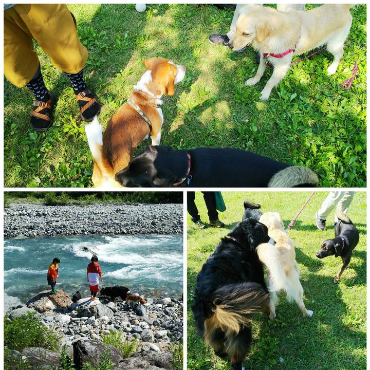 D104a3ff 8c8f 404e a79b b82d0a429da9 1531665568933