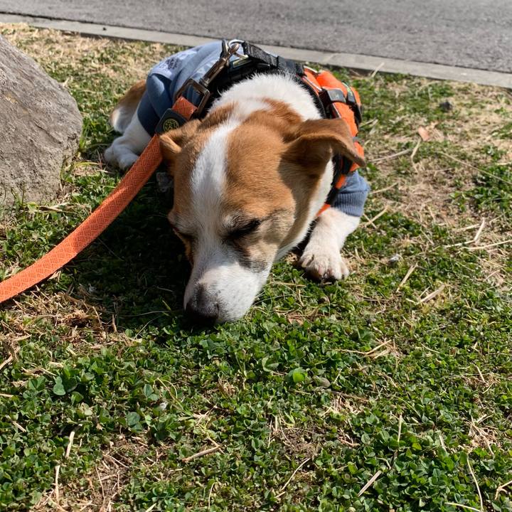 D104ac52 4e79 49e6 84c3 e15e142c24cd 1647048605522