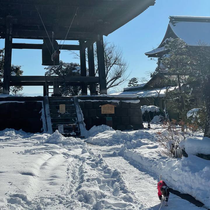 D104c1b3 782f 4775 b55d 64a50e9279e3 1642837609175