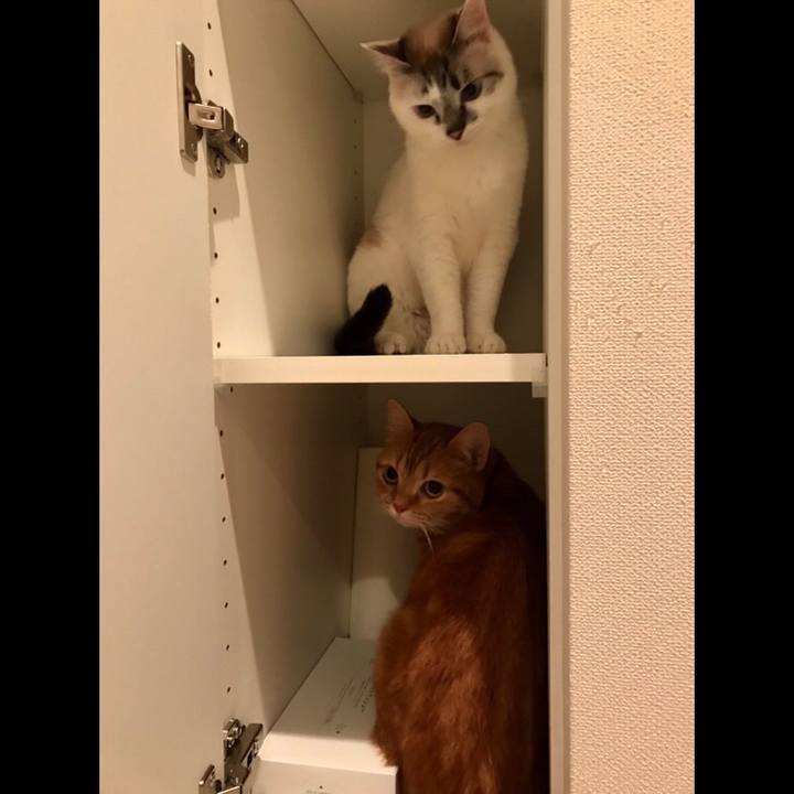 D104f2ac fb1e 4064 bc98 2cc7dd336db3 1525181486270