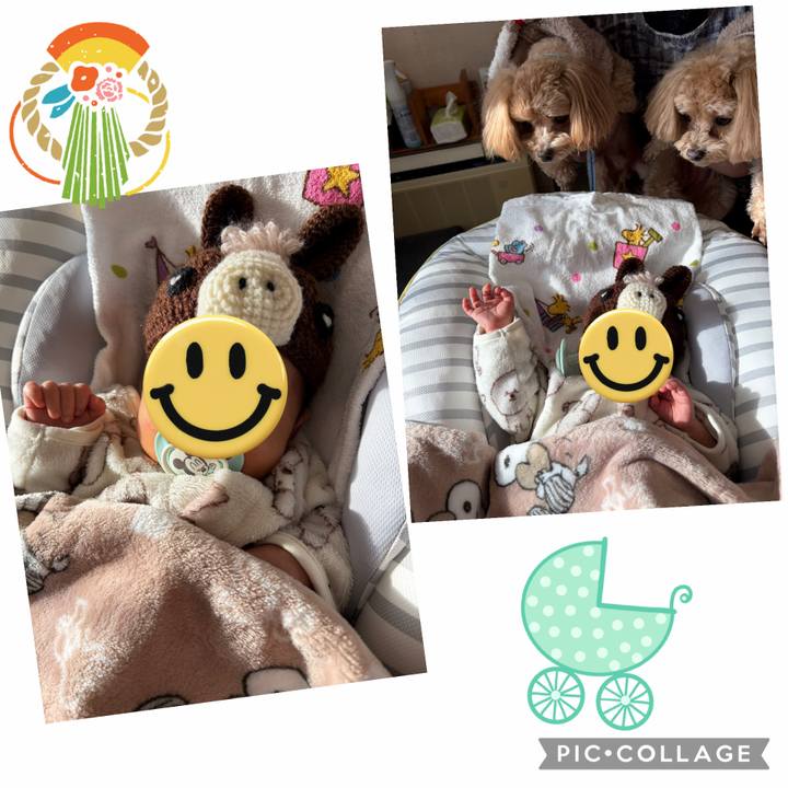 D105103b b7fb 4dac 8688 77251a5f5b5f 1767281213137