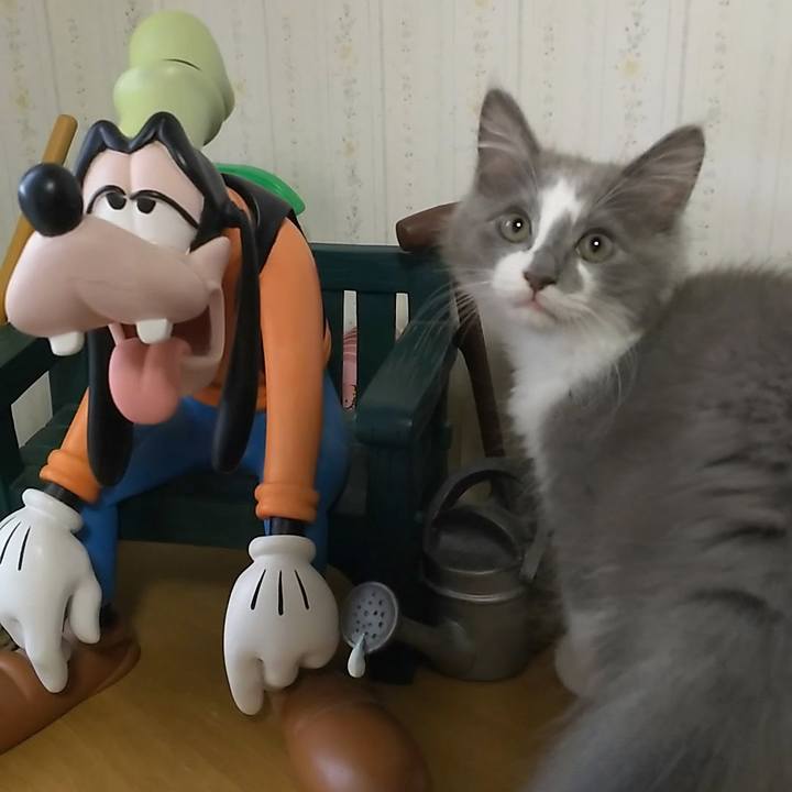 D105551b 4e6f 45ee 834e fe6b37a92e18 1563158350570