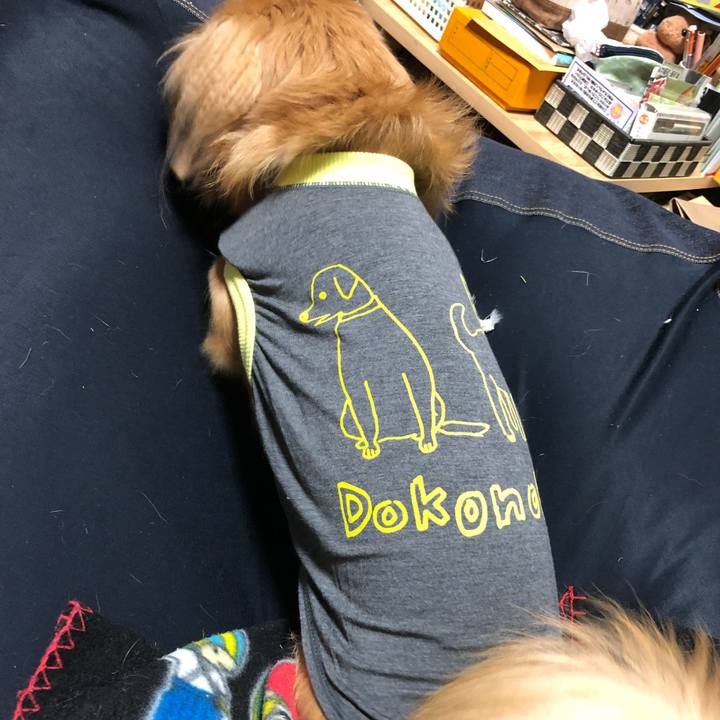 D105618c 7434 4da2 a3ba 17a07fe91248 1511432350807