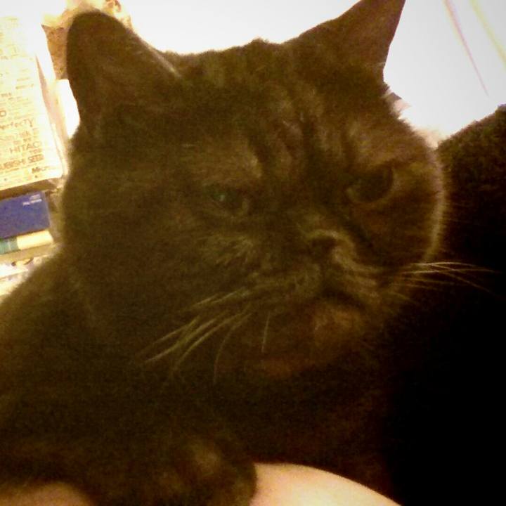 D10562b2 e0eb 458d b0e3 f5f9e62694a5 1579334673731