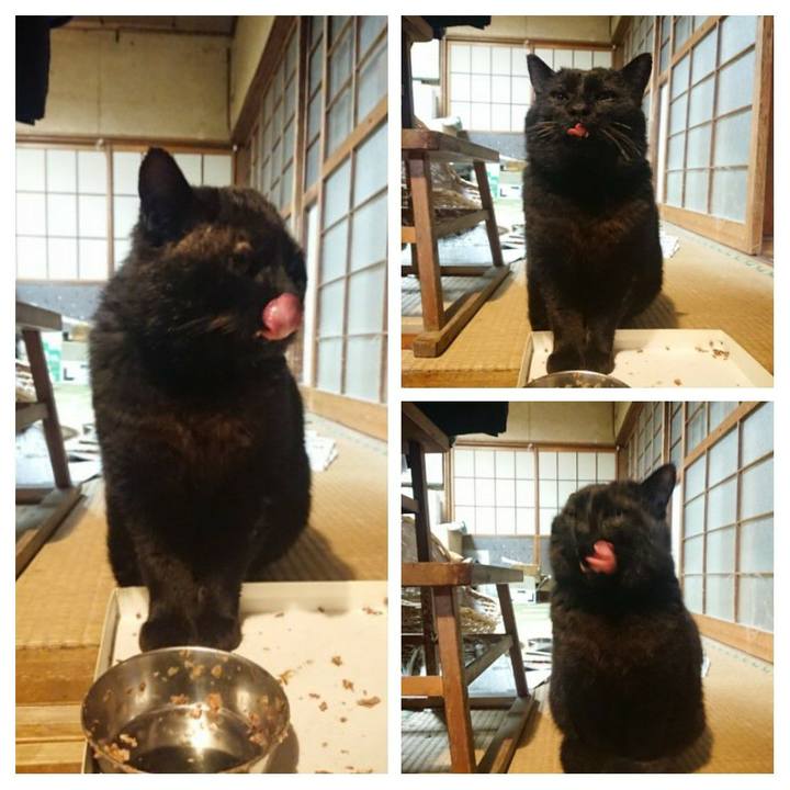 D105835c 7bda 49ff 964e c7b37a4352de 1617881414454