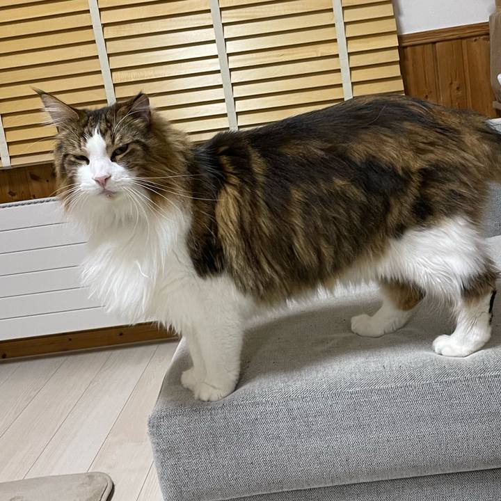 D1059057 d605 455c 8cdb cde989d24e7c 1700163725519