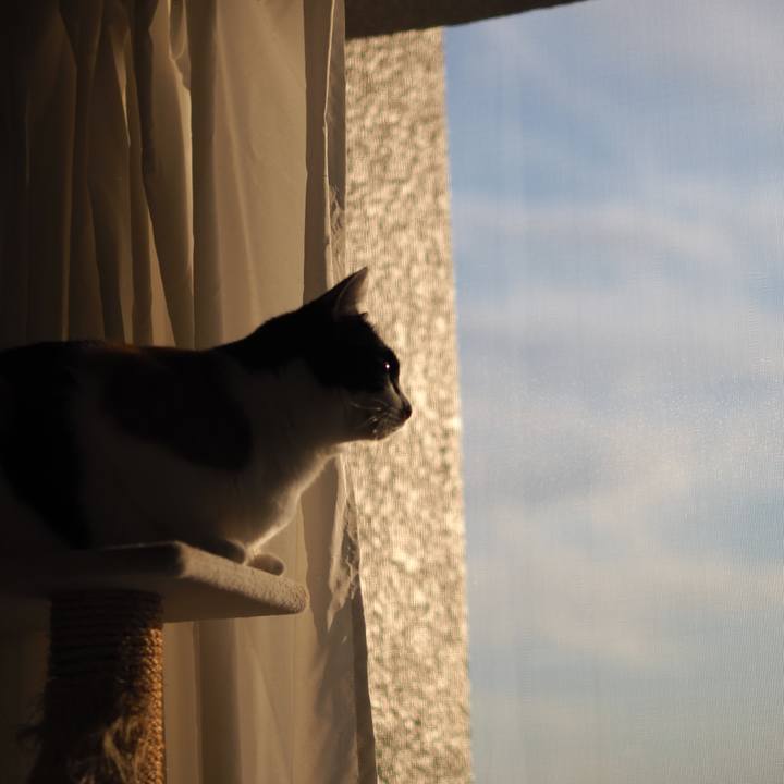 D105a159 ea37 4cbe a4e8 06499931d24c 1576488799108