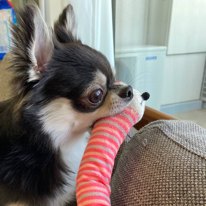 D105a3d9 b81c 4ee8 92db fa9ffeb1be98 1620446935443