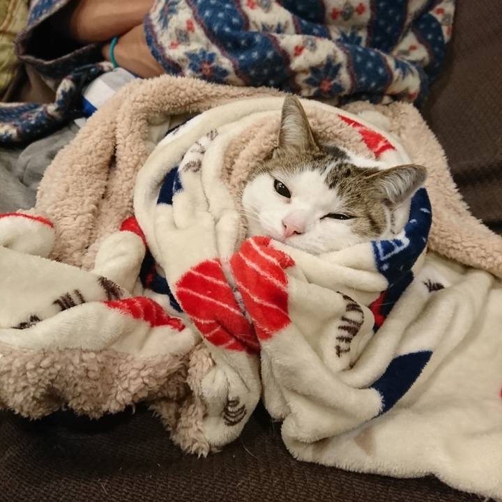 D105aeb2 e7e4 477f 981b 15d998ae4018 1579191568711