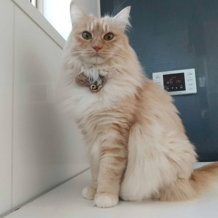 D105be61 0140 4ec3 b599 e16d0c2708cb 1707624327592