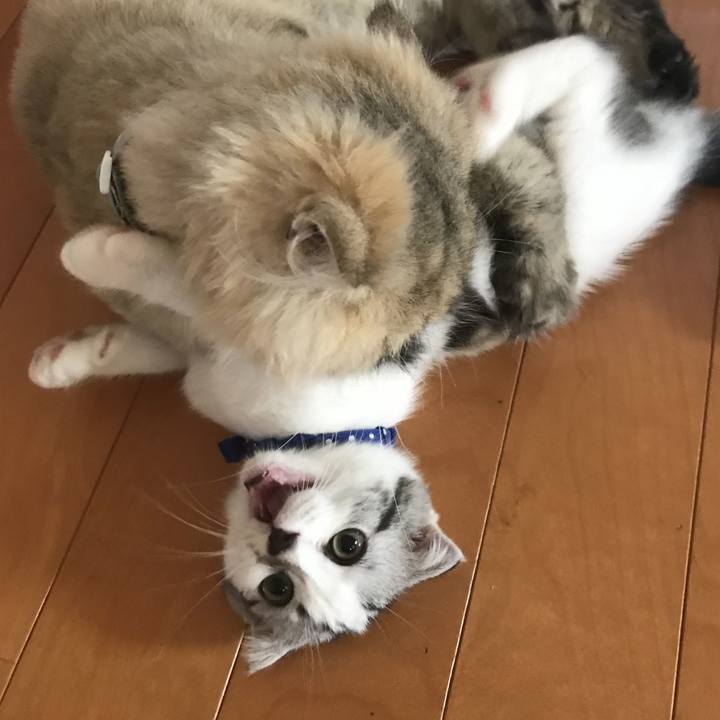 D105fcdd b4be 4af1 946d a3d7f619b813 1627018713262