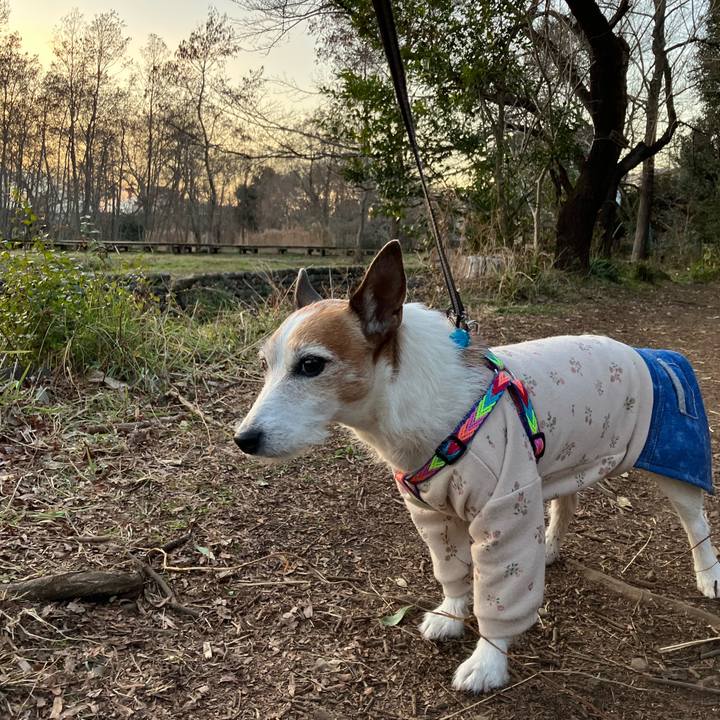 D1060b4b 0f3e 448f 8ca5 553691475709 1676673615592