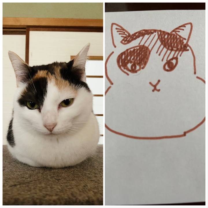 D10612a6 58ba 4226 b792 ac8be2147b8c 1556417293949