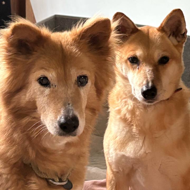 D106131f 7437 47fc 9ce8 71dde78beb83 1744550246280