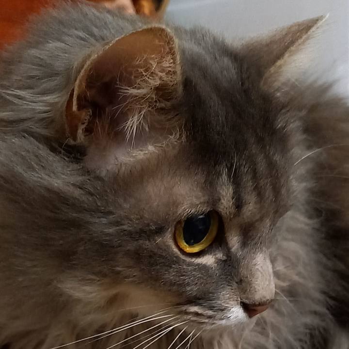 D10619d0 d0a5 46e4 a016 c7ad66aa1bf6 1617453276889