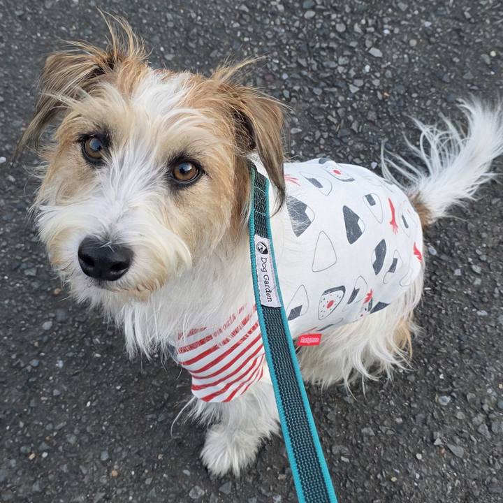 D1063084 3d9a 4cec 9529 f4cff051efdb 1763635404510