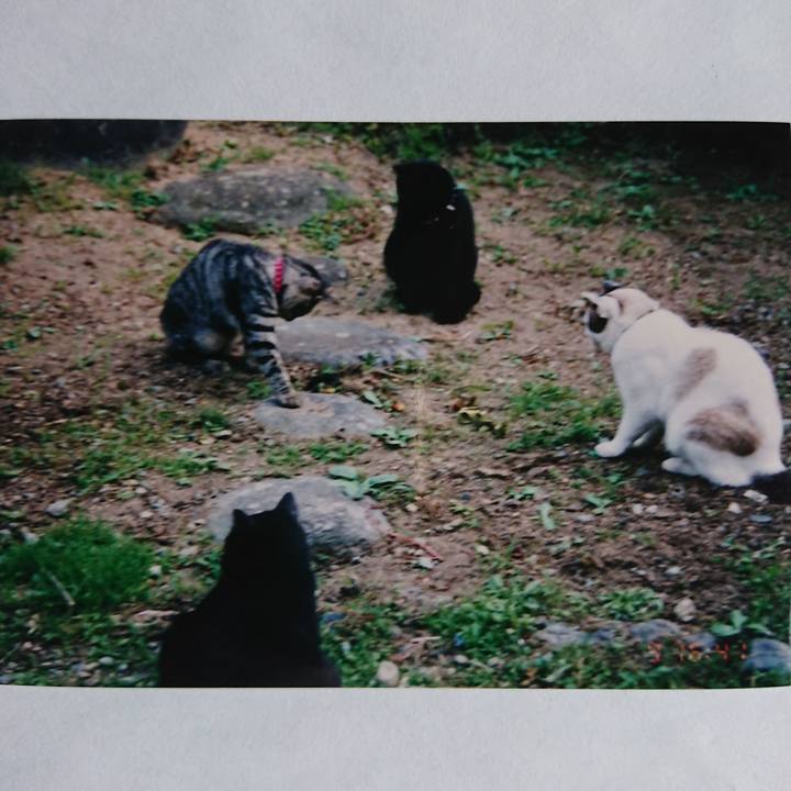 D10661b0 b187 4025 9edc cd9f096edb8d 1600634755253