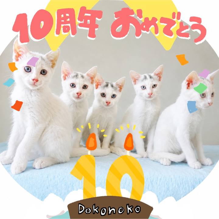 D1068ae9 1c7f 49bb 82db b0ea6d8bd418 1780709853616