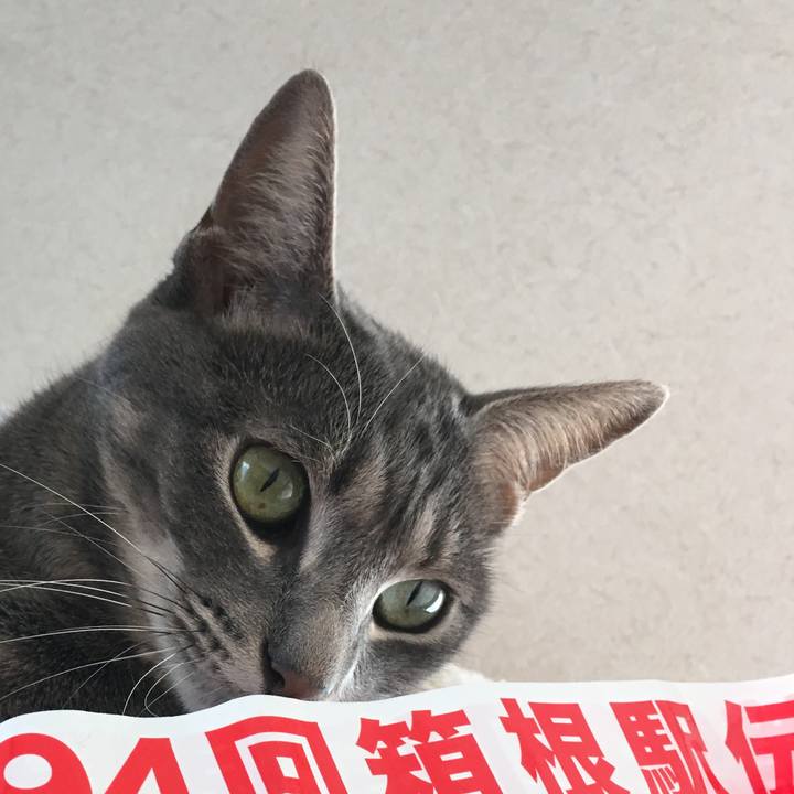 D106a047 e478 4c3c ad16 2c849cdd7684 1514959808764