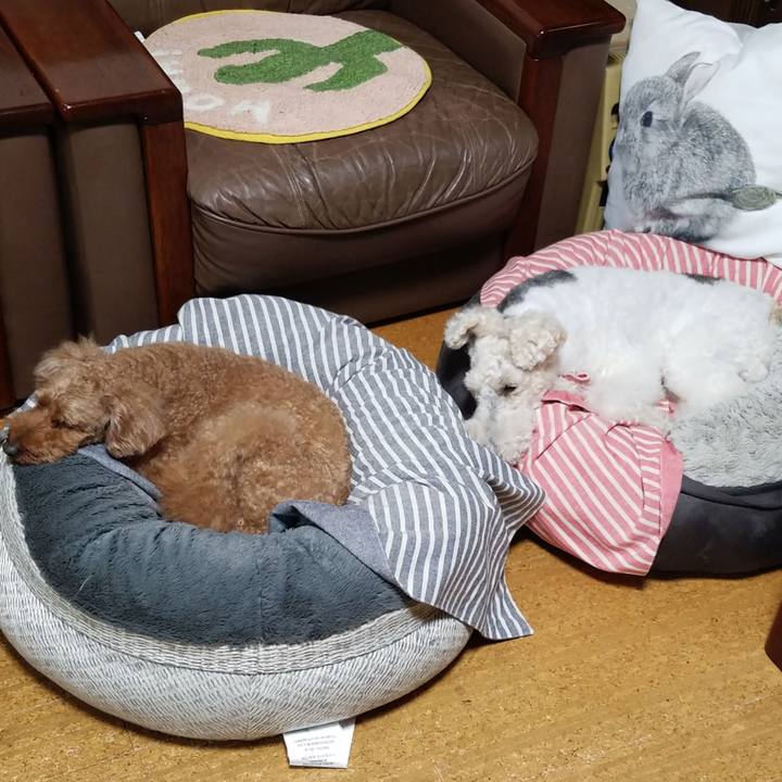 D106ec8c bbfa 4638 bdd3 f55cd3179288 1563893364099