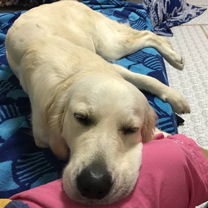 D1070f64 ed60 4ecc 88e5 afdcbaae0b37 1507971694915