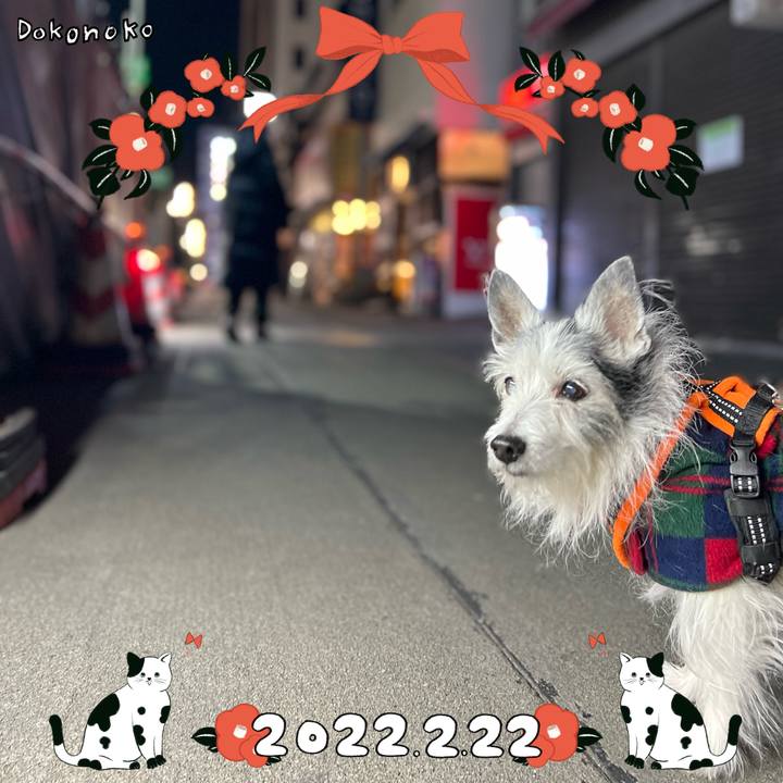 D1071ae2 b634 4574 8782 1d180f2a7da3 1645526950448