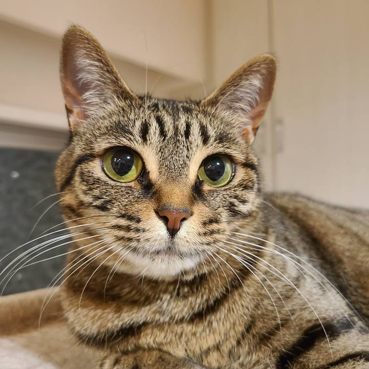 D1071c96 075e 4d64 9a4e 91cbb1349b14 1688908166600