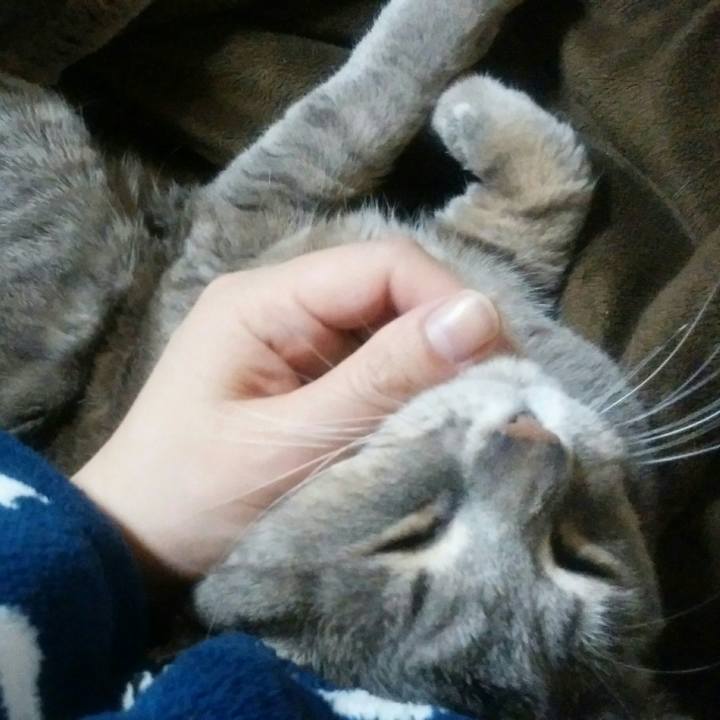 D1079464 6870 427e 96da bc075a7bb0fd 1520475843121