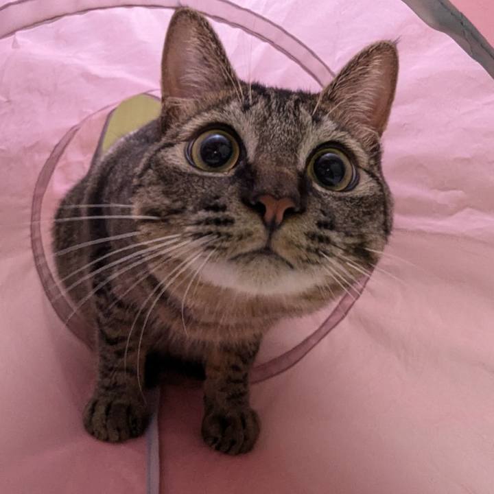 D107aa71 9337 4188 a23b 68597eaac200 1722862272994