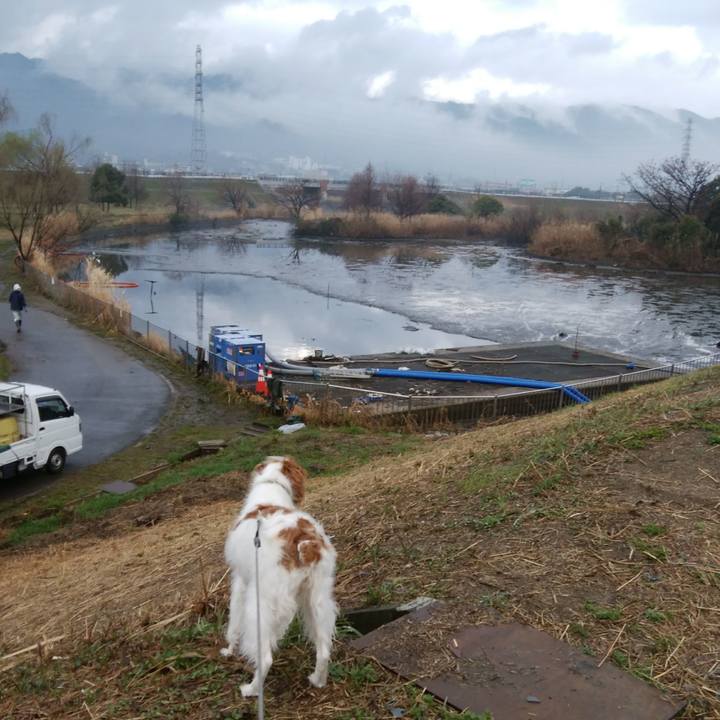 D107ef7b 7d16 40ee b51b f1f0e7239977 1551918145069