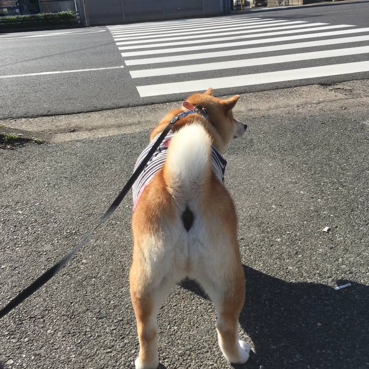 D1084038 639d 4070 adc9 81713254cb73 1543117232620