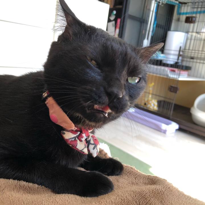 D1085ce6 4474 465f 9051 5f42e789c400 1588636389674