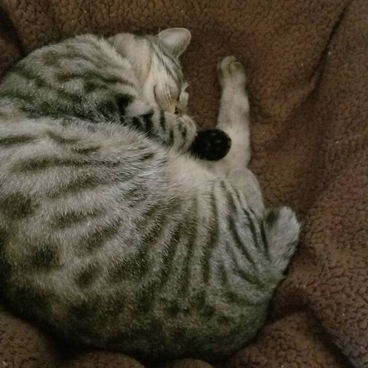 D1087b45 ec8e 48c3 bc6d 5b6237c5ab0d 1688019086980