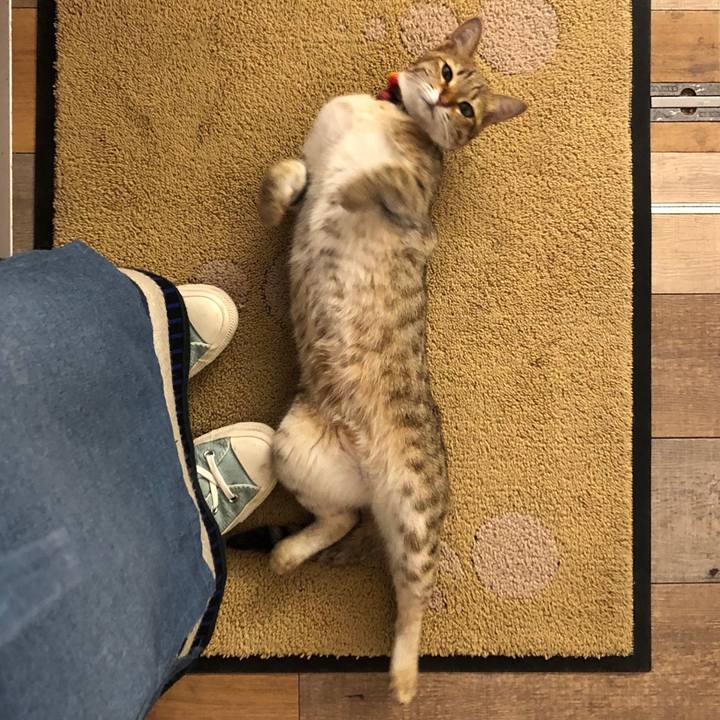 D10928c5 57fe 484b a11f 6ad163ee7165 1617259173980