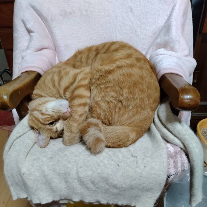 D109bb57 c1d2 4744 a49b c88c98634cb6 1665706110468