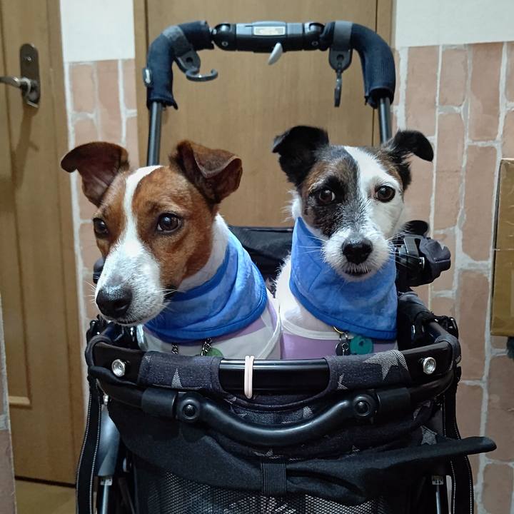 D109cdad 4f8c 4357 9b25 c90683d6f0ac 1628599258501