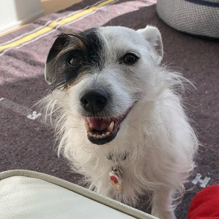 D10a10b6 3220 431f ad93 db87fa337c1a 1612935275472