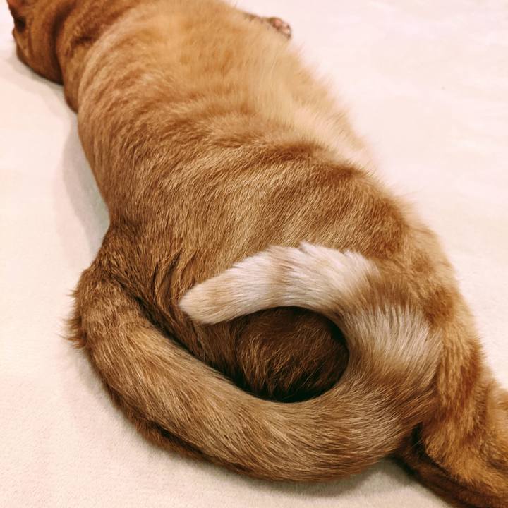 D10a4a05 59f7 446d ba0c bab7d0b14d17 1624363626433