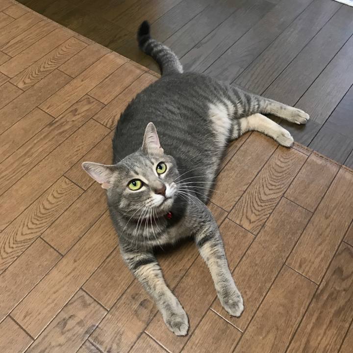 D10a6e7c 5f6c 481a 8c72 eba9c5442ebd 1597446990063