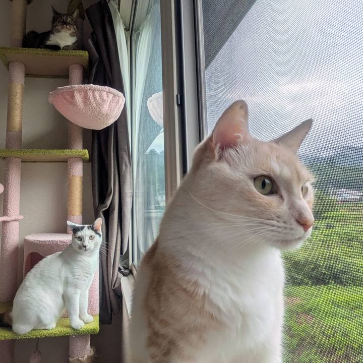 D10a754f cee0 4e58 b47a d9bcc32816e1 1754869720752