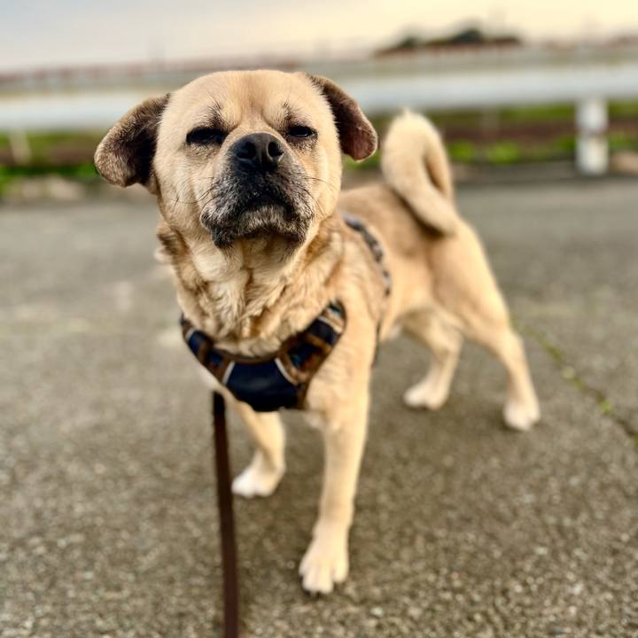 D10ad279 842e 4d32 b693 4494aec1a32f 1772752677570