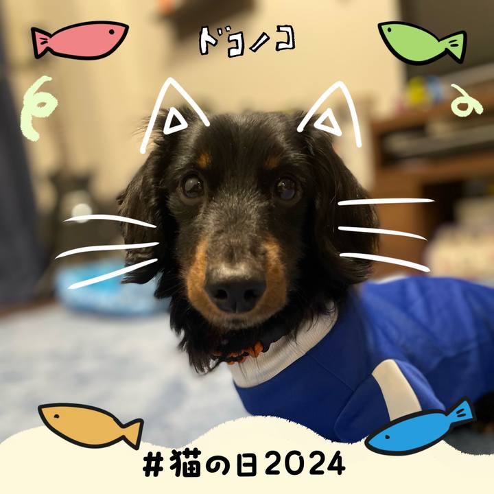 D10afbb1 8194 4da0 af51 c09a1cbcb187 1708554813327